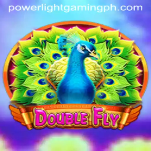 DoubleFly: The Next Big Thing in Power Light Gaming